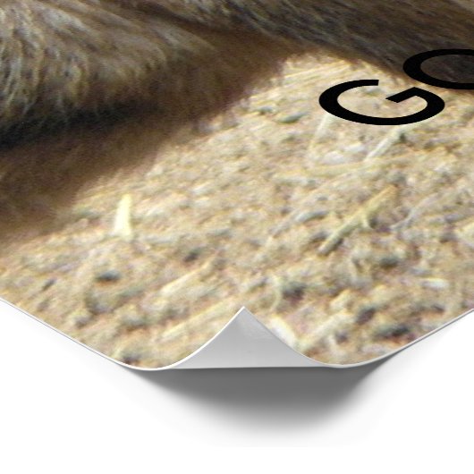 20080606_430, DOE HET....... POSTER (Hoek)