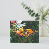 2008_0109_114022 BRIEFKAART (Staand voorkant)