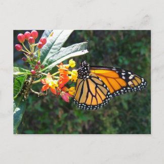 2008_0109_114022 BRIEFKAART