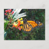 2008_0109_114022 BRIEFKAART (Voorkant)