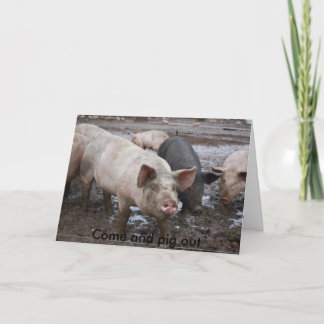 2008_01_250827, Kom en zwijn