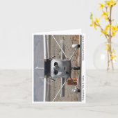 2008 Cessna 172 Skyhawk SP Photo Note Kaart #1 (Gele Bloem)