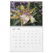 2008 Een jaar van orchideeën Kalender (Mar 2026)