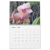 2008 Een jaar van orchideeën Kalender (Feb 2026)