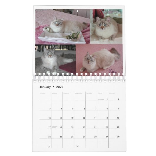 2008 Siberische katten Agenda2 sm Kalender (Jan 2027)