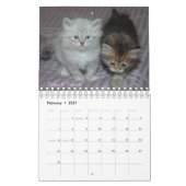 2008 Siberische katten Agenda2 sm Kalender (Feb 2027)