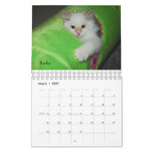 2008 Siberische katten Agenda2 sm Kalender (Mar 2027)