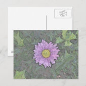 20090614_113 BRIEFKAART (Voorkant / Achterkant)