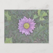 20090614_113 BRIEFKAART (Voorkant)