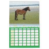 2009-7-23 Wright Corolla 00118 Kalender (Mar 2027)
