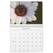 2009: Beauty en Hope Kalender (Mar 2027)