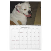 2009 Dog Calendar - Gepersonaliseerd - C... - Gepe Kalender (Feb 2027)