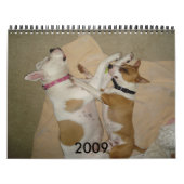 2009 Dog Calendar - Gepersonaliseerd - C... - Gepe Kalender (Hoes)