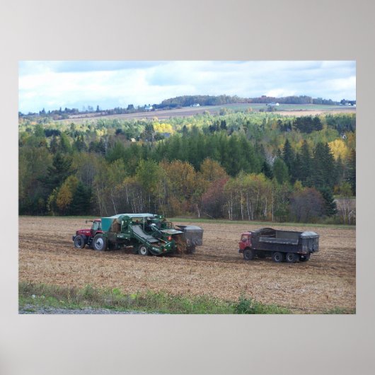 2009_Maine_Autumn_169 Poster (Voorkant)