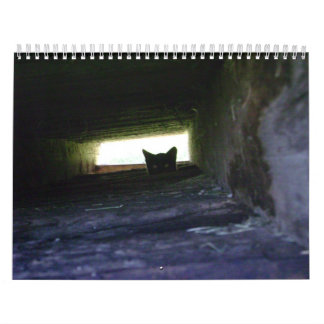 2009 Van de Feral Soul Inc. Feral Cat Calendar Kalender
