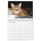 2009 Van de Feral Soul Inc. Feral Cat Calendar Kalender (Mar 2027)