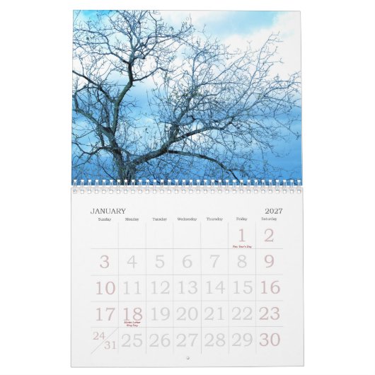 2009, van Little Grey Pixel Kalender (Jan 2027)