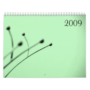 2009, van Little Grey Pixel Kalender