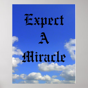 2009-Verwacht wonder Poster