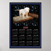 2009 Wall Poster Calendar of Luna (Voorkant)