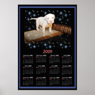 2009 Wall Poster Calendar of Luna