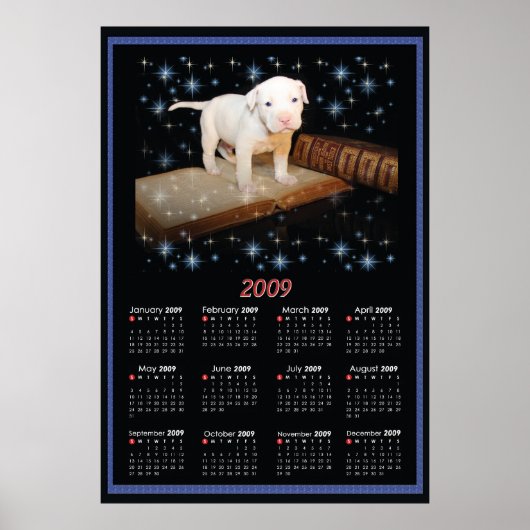 2009 Wall Poster Calendar of Luna (Voorkant)