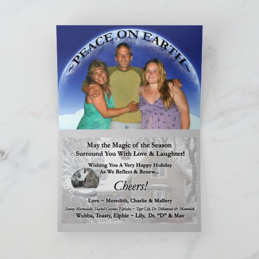 2009HolidayCupcakeCatsSnowglobeFlat Feestdagen Kaart (Binnen)