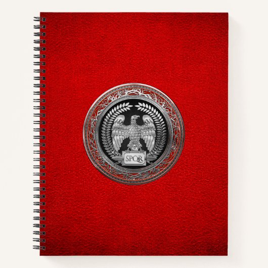 [200] Silver Roman imperial Eagle Notitieboek (Voorkant)
