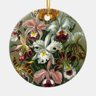 20101126181226! Haeckel_Orchidae.jpg Keramisch Ornament
