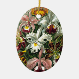 20101126181226! Haeckel_Orchidae.jpg Keramisch Ornament