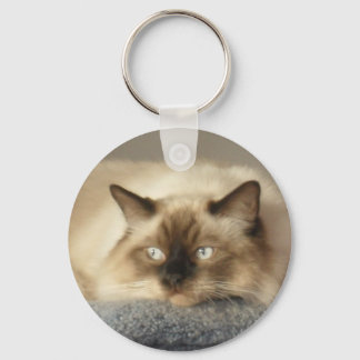 2010_04240003 SLEUTELHANGER