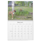 2010 BC Agenda - Gewoon stijl Kalender (Mar 2027)