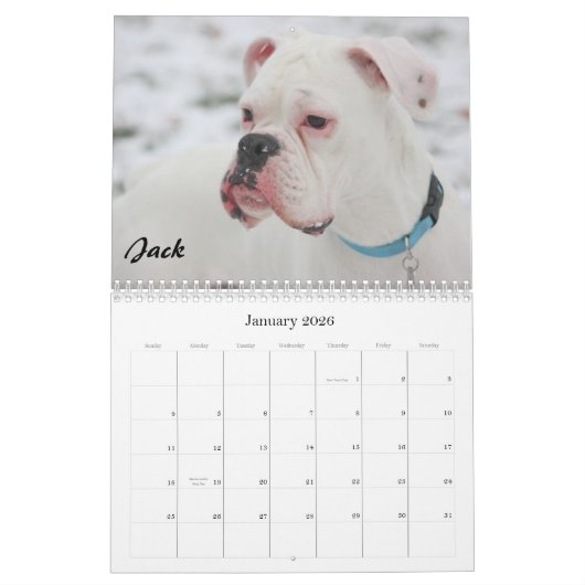 2010 BC Agenda - Gewoon stijl Kalender (Jan 2026)