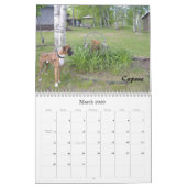 2010 BC Agenda - Gewoon stijl Kalender (Mar 2026)