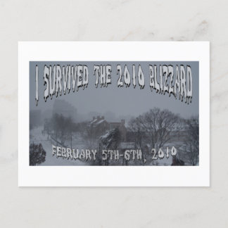 2010 Blizzard Briefkaart