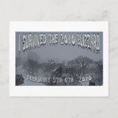 2010 Blizzard Briefkaart (Voorkant)