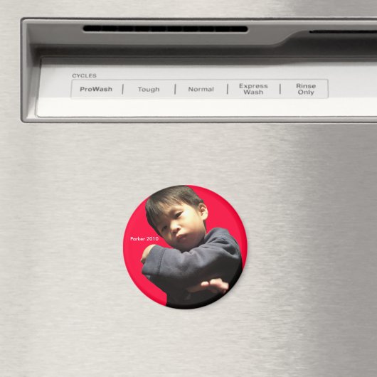 2010 boos magneet (Insitu (Vaatwasser))