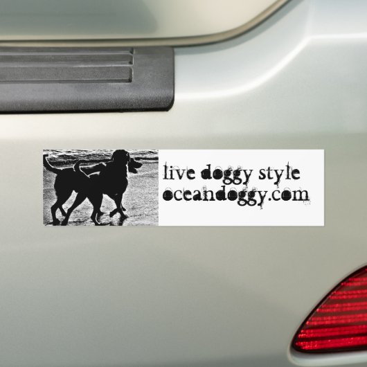 2010 bumpersticker-1 bumpersticker (Op auto)