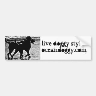 2010 bumpersticker-1 bumpersticker