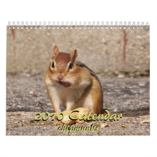 2010 Chipmunk Agenda Kalender