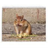 2010 Chipmunk Agenda Kalender (Hoes)