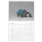 2010: Een jaar in Dinosaurussen Kalender (Mar 2026)