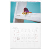 2010: Een jaar in Dinosaurussen Kalender (Feb 2026)