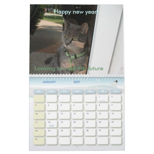 2010: Een jaar met katten Kalender (Jan 2027)