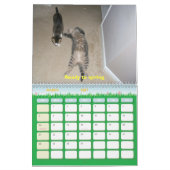 2010: Een jaar met katten Kalender (Mar 2027)