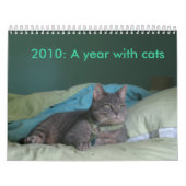 2010: Een jaar met katten Kalender (Hoes)