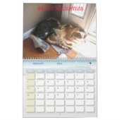 2010: Een jaar met katten Kalender (Feb 2026)