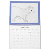 2010 Ferret Fundraising Calendar Kalender (Jan 2026)