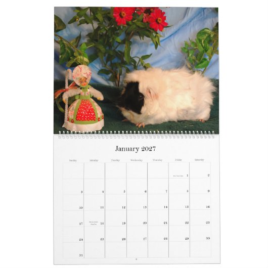 2010 Guinea Pig Love Calendar Kalender (Jan 2027)