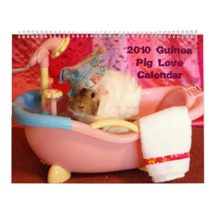 2010 Guinea Pig Love Calendar Kalender